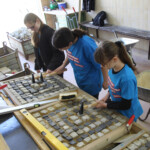 Girls'Day 2022